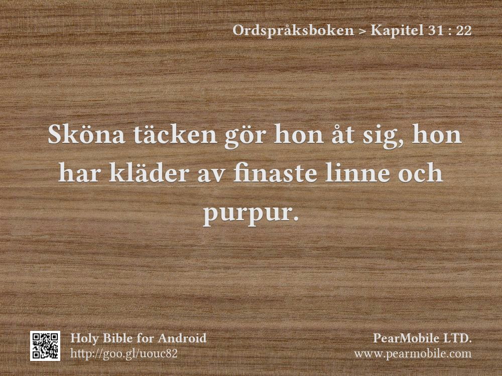 Ordspråksboken, Kapitel 31:22